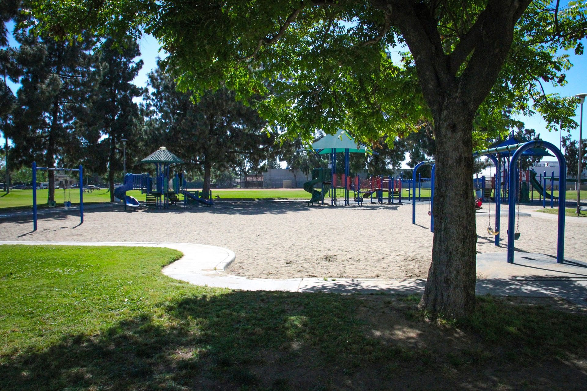 A tree is pictured in front of a green lawn and a playground.